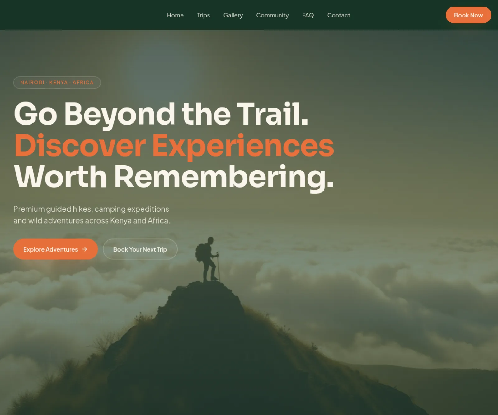 Website Projects